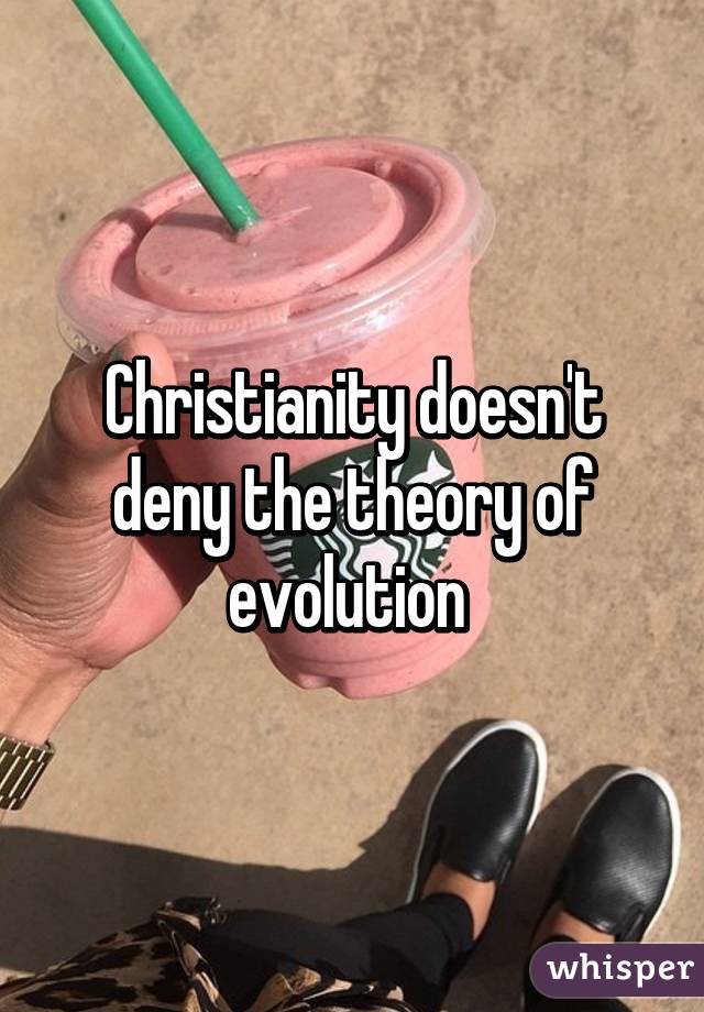 Christianity doesn't deny the theory of evolution 