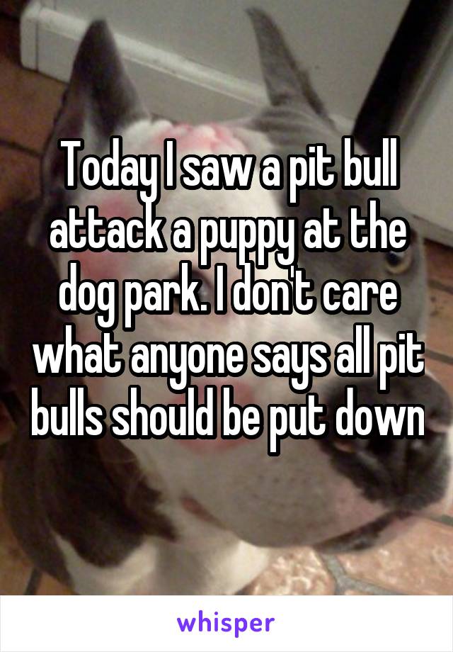 Today I saw a pit bull attack a puppy at the dog park. I don't care what anyone says all pit bulls should be put down 