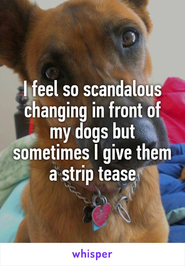 I feel so scandalous changing in front of my dogs but sometimes I give them a strip tease