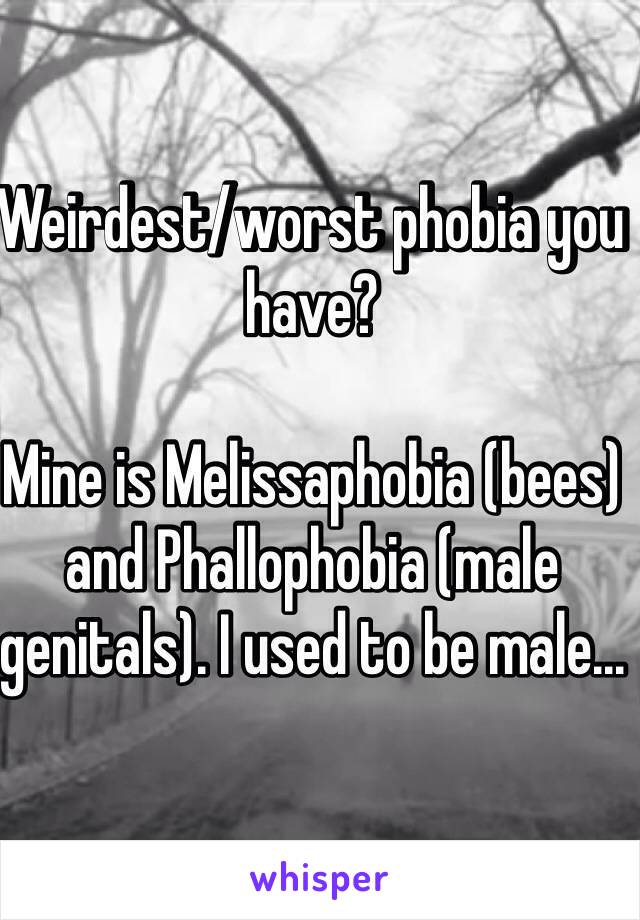 Weirdest/worst phobia you have?

Mine is Melissaphobia (bees) and Phallophobia (male genitals). I used to be male...