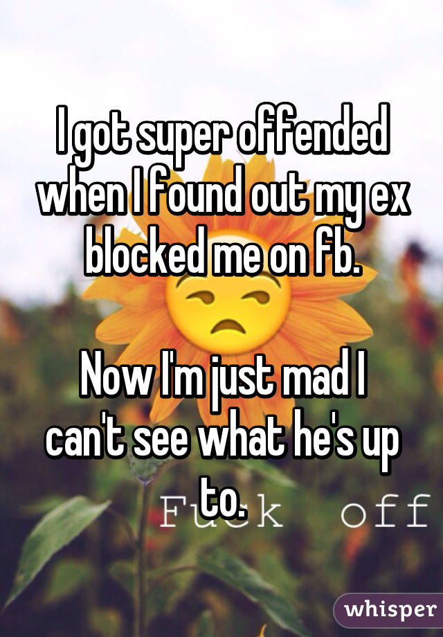 I got super offended when I found out my ex blocked me on fb.

Now I'm just mad I can't see what he's up to.