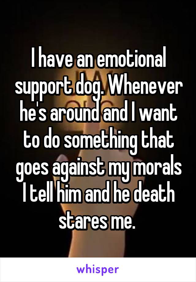 I have an emotional support dog. Whenever he's around and I want to do something that goes against my morals I tell him and he death stares me. 