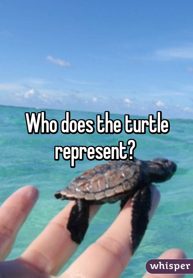 who-does-the-turtle-represent