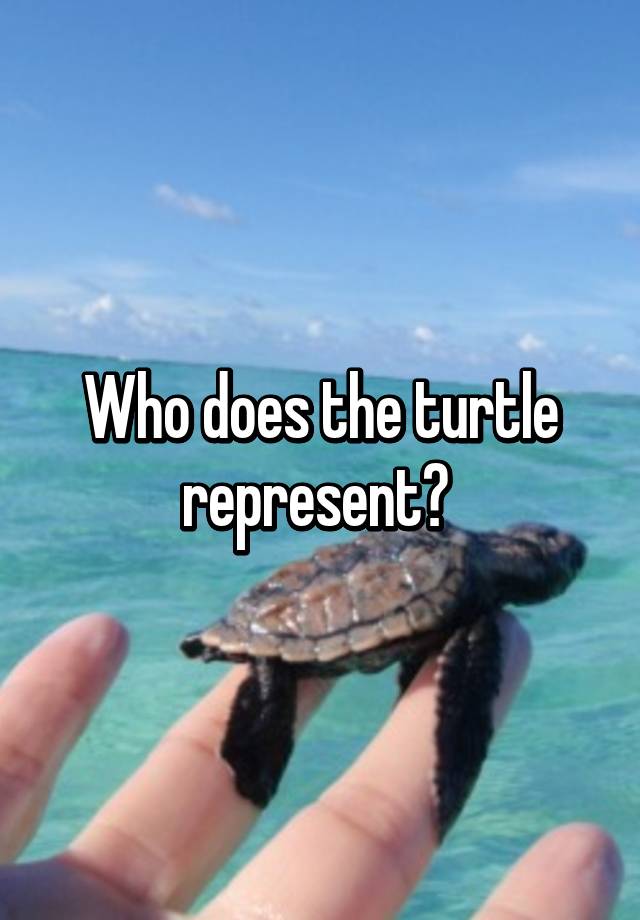 who-does-the-turtle-represent