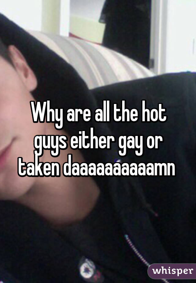 Why are all the hot guys either gay or taken daaaaaaaaaamn 