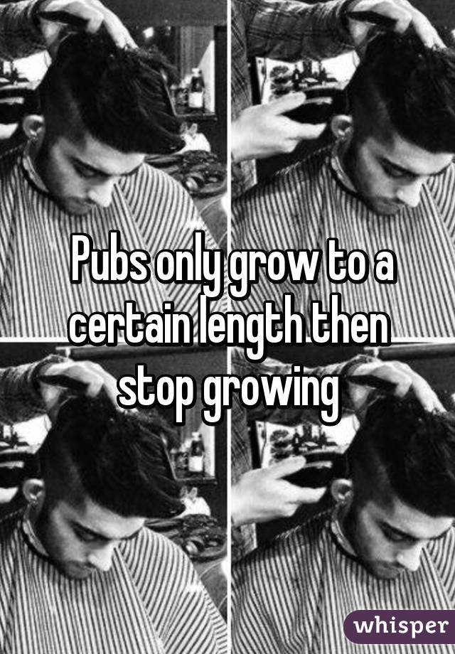  Pubs only grow to a certain length then stop growing