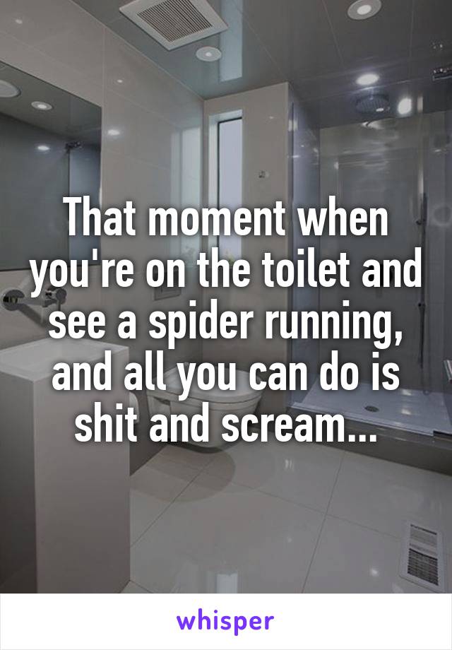 That moment when you're on the toilet and see a spider running, and all you can do is shit and scream...