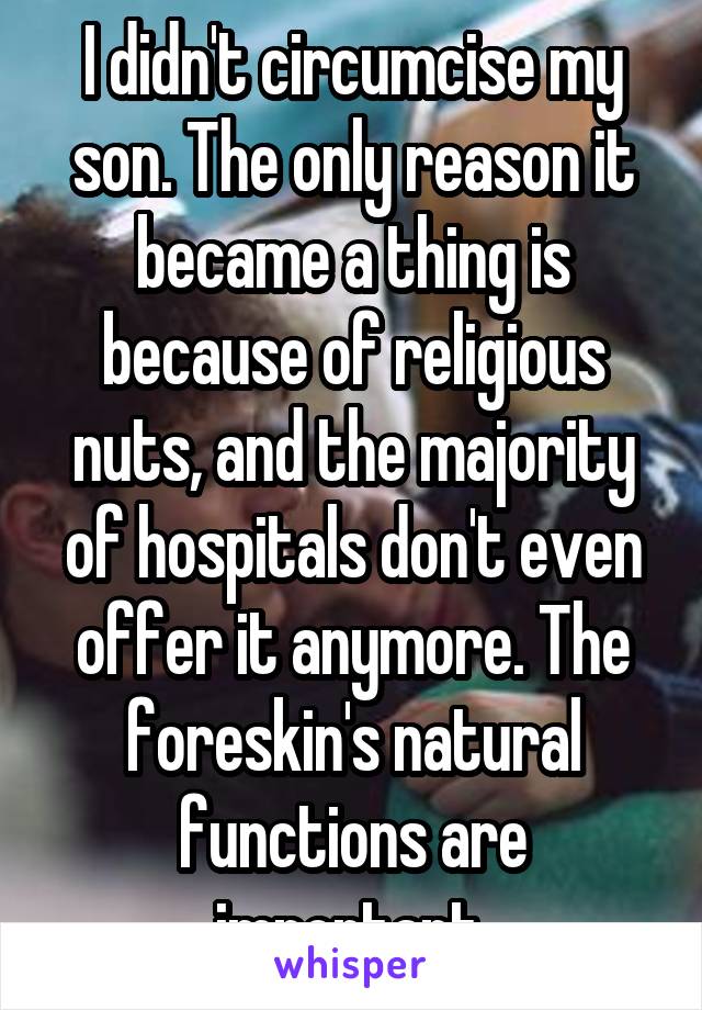 I didn't circumcise my son. The only reason it became a thing is because of religious nuts, and the majority of hospitals don't even offer it anymore. The foreskin's natural functions are important.