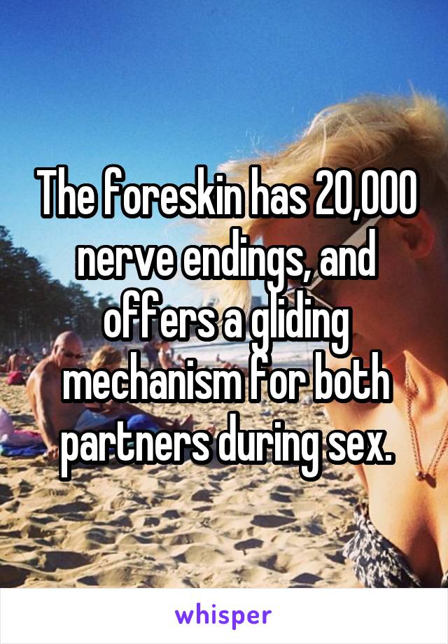 The foreskin has 20,000 nerve endings, and offers a gliding mechanism for both partners during sex.