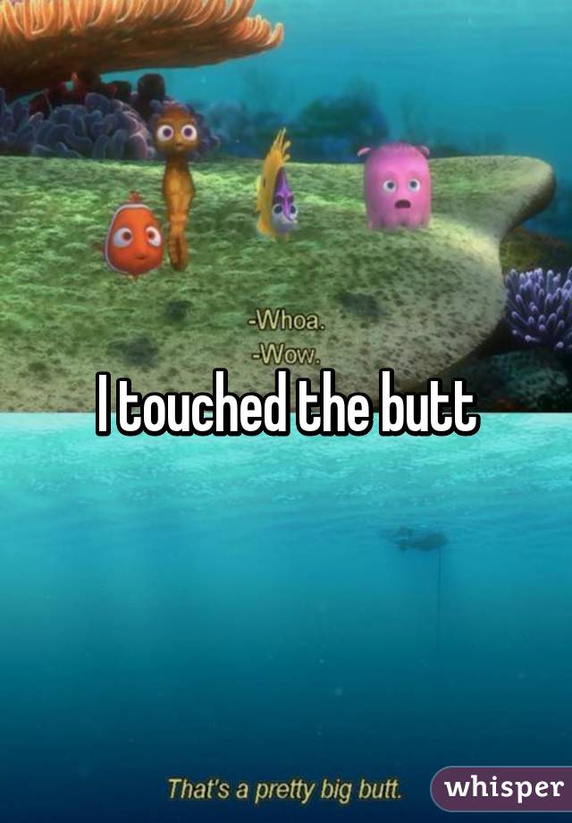 I touched the butt