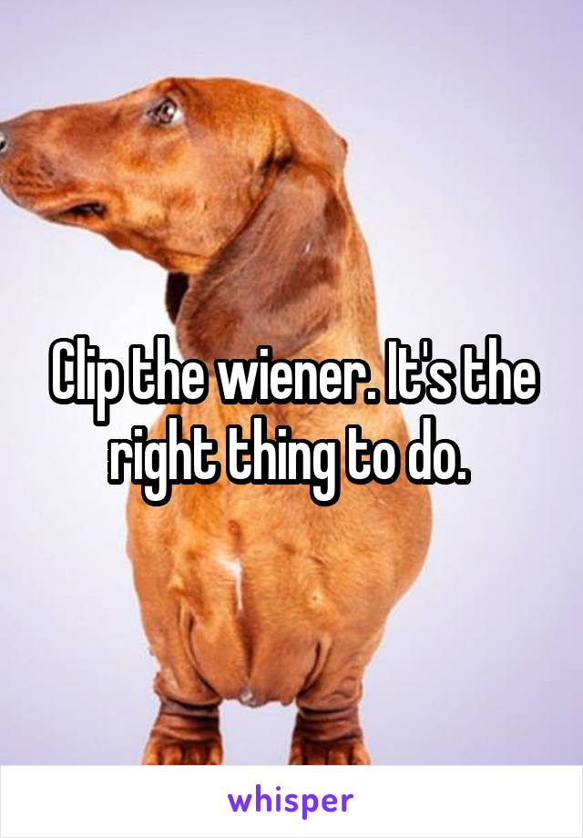 Clip the wiener. It's the right thing to do. 