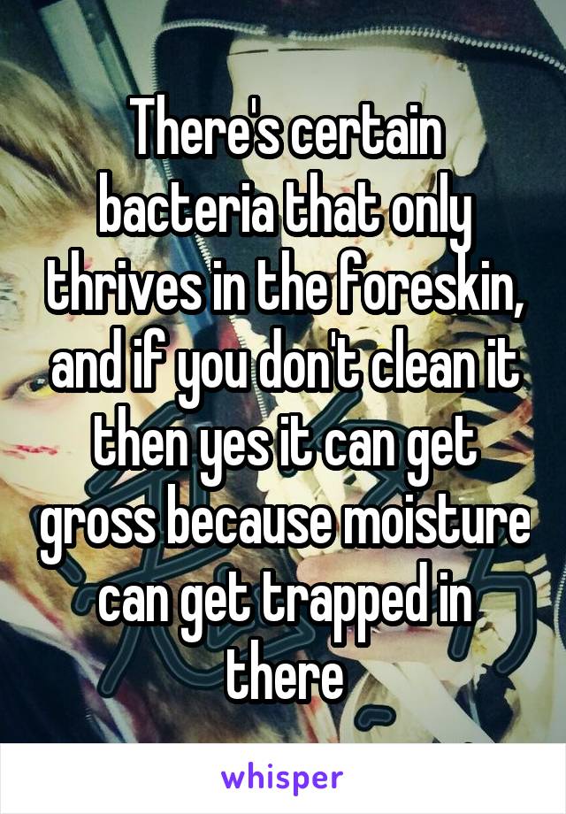 There's certain bacteria that only thrives in the foreskin, and if you don't clean it then yes it can get gross because moisture can get trapped in there