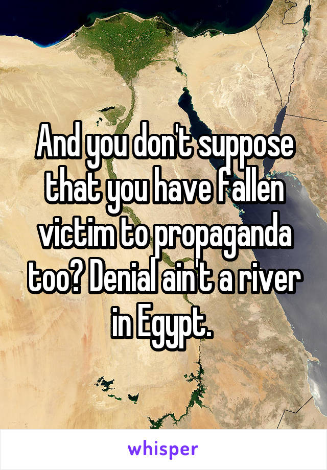 And you don't suppose that you have fallen victim to propaganda too? Denial ain't a river in Egypt. 