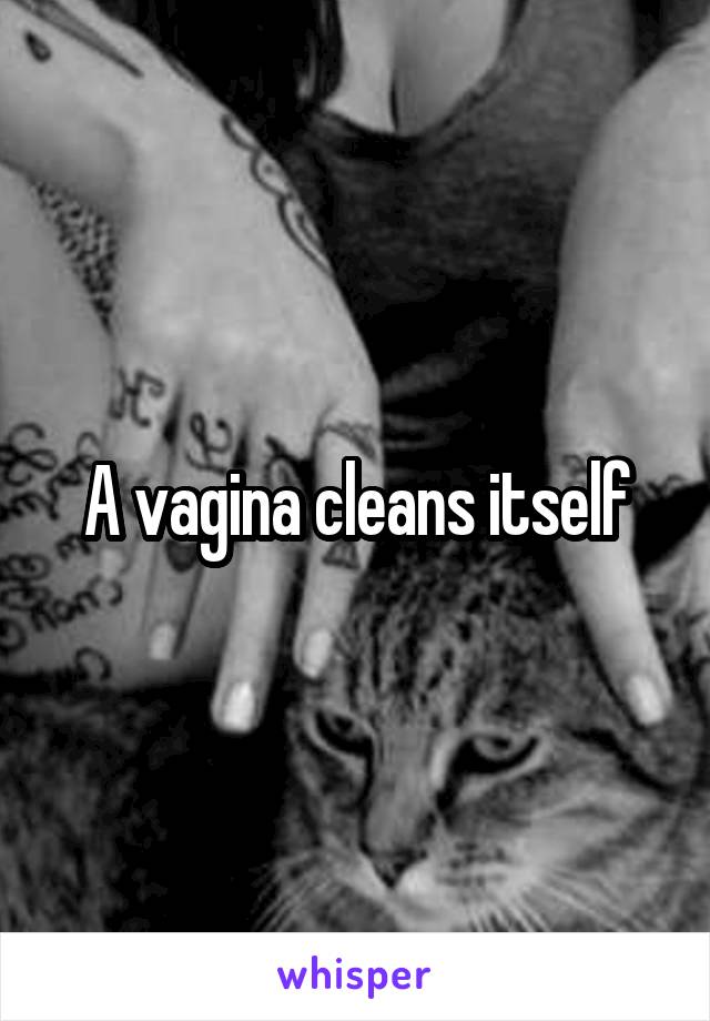 A vagina cleans itself