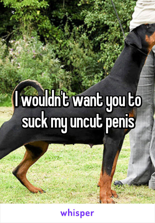 I wouldn't want you to suck my uncut penis