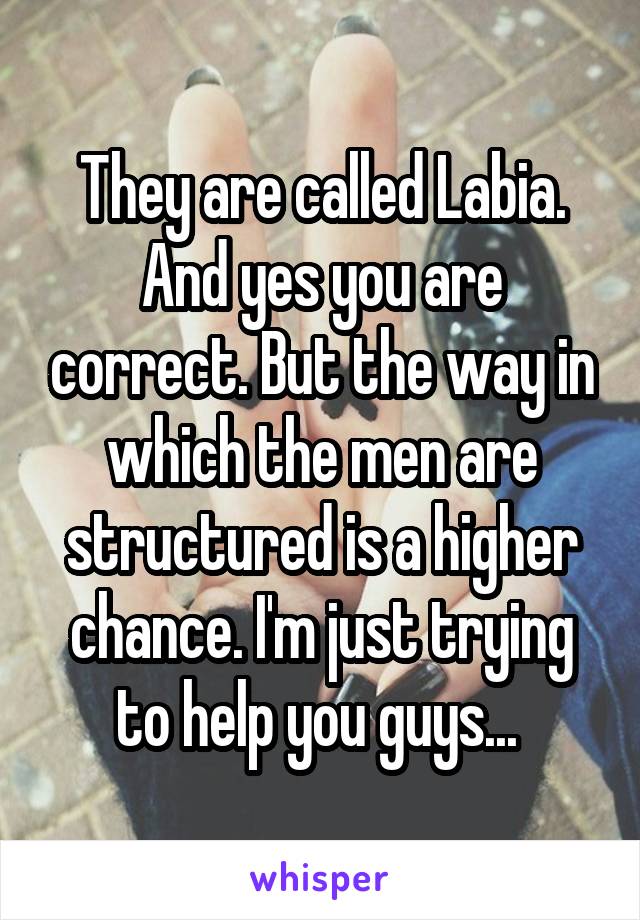 They are called Labia. And yes you are correct. But the way in which the men are structured is a higher chance. I'm just trying to help you guys... 