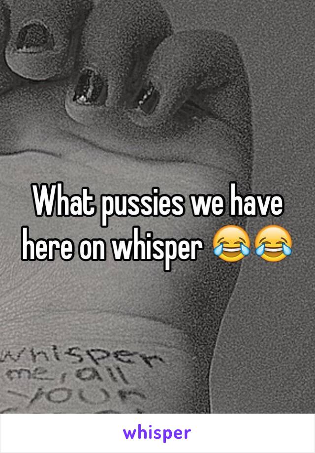 What pussies we have here on whisper 😂😂