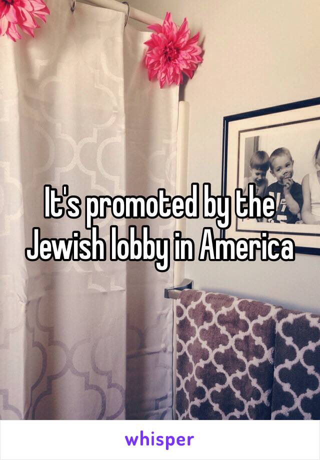 It's promoted by the Jewish lobby in America