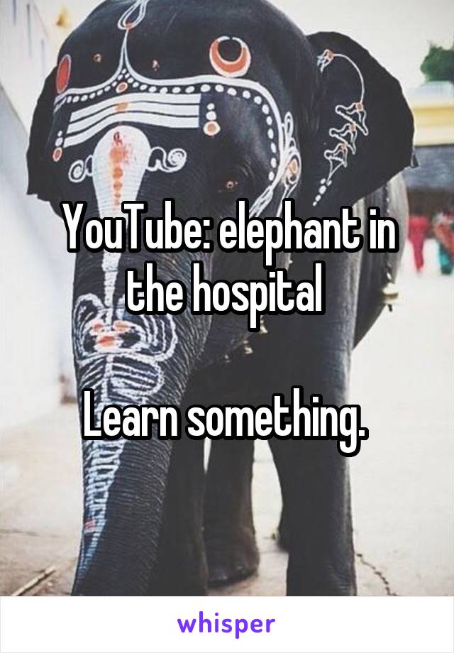 YouTube: elephant in the hospital 

Learn something. 