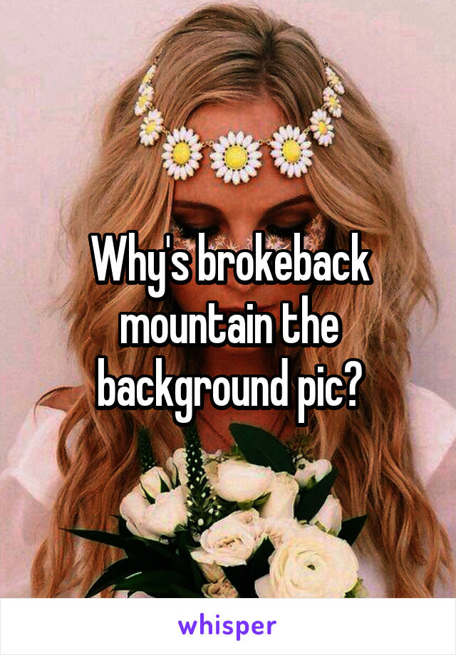 Why's brokeback mountain the background pic?