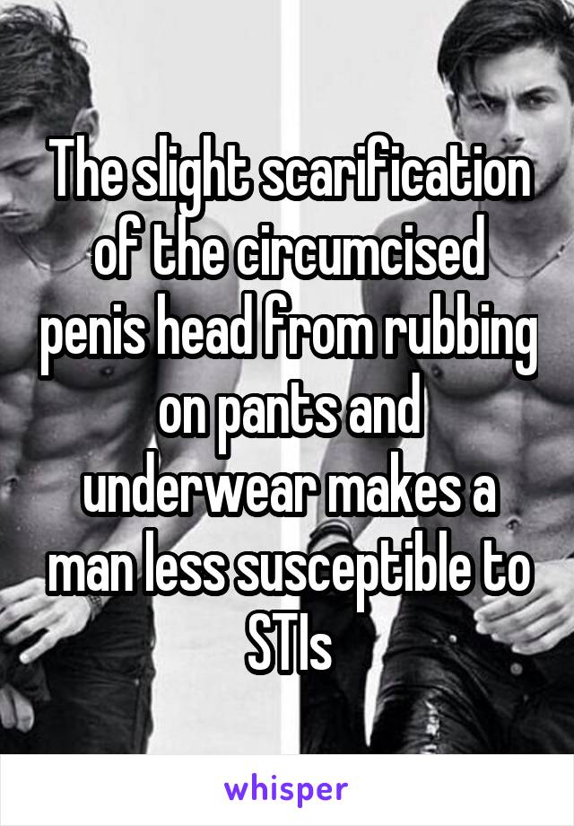 The slight scarification of the circumcised penis head from rubbing on pants and underwear makes a man less susceptible to STIs