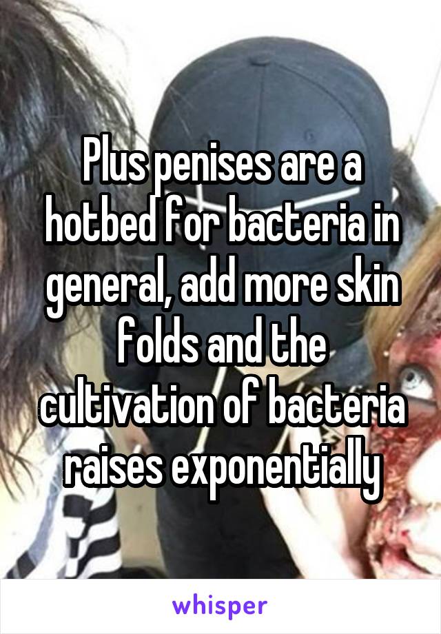 Plus penises are a hotbed for bacteria in general, add more skin folds and the cultivation of bacteria raises exponentially