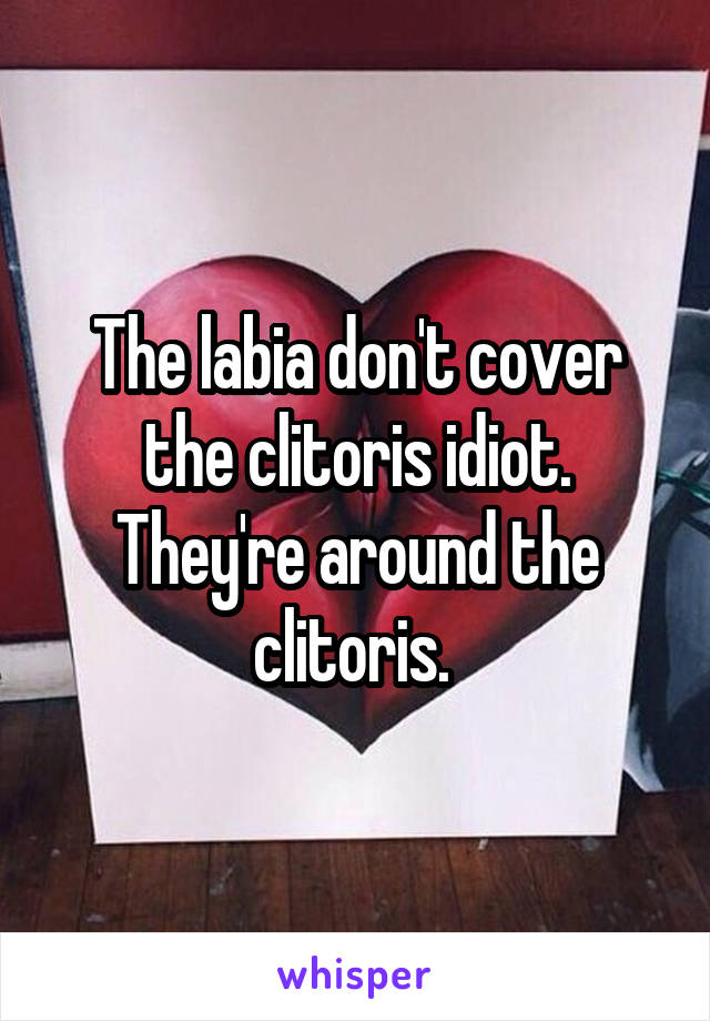 The labia don't cover the clitoris idiot. They're around the clitoris. 