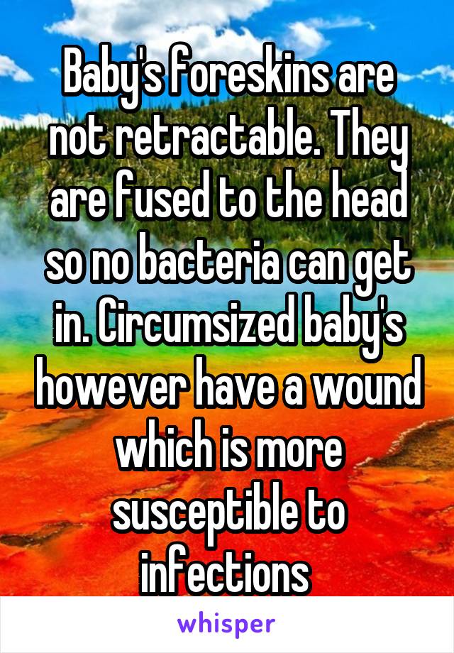 Baby's foreskins are not retractable. They are fused to the head so no bacteria can get in. Circumsized baby's however have a wound which is more susceptible to infections 