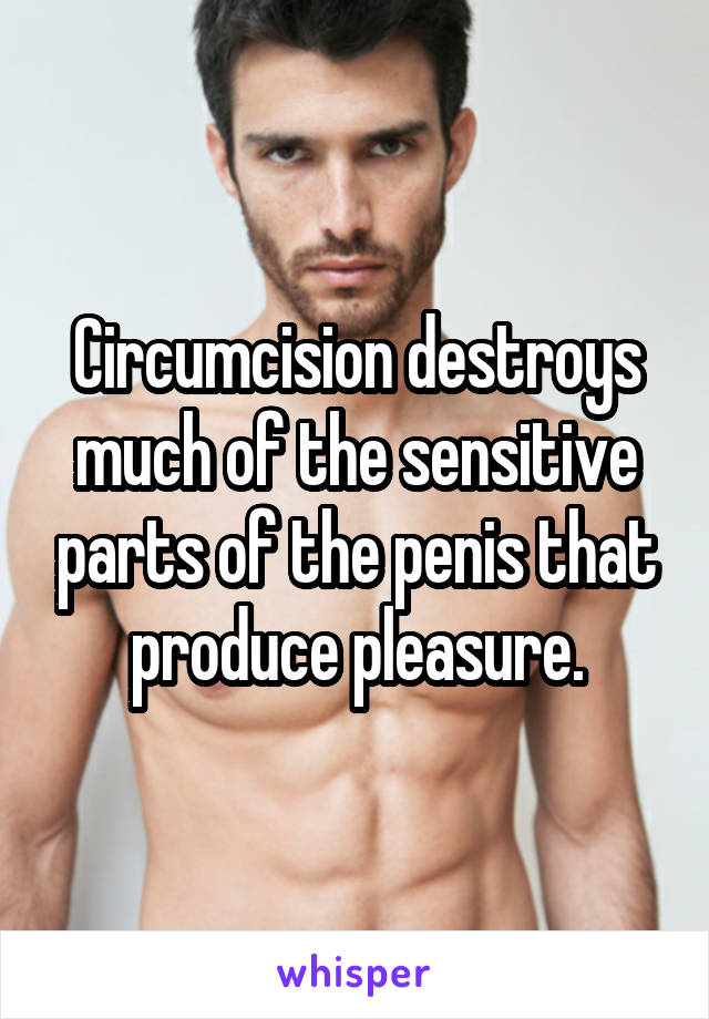 Circumcision destroys much of the sensitive parts of the penis that produce pleasure.