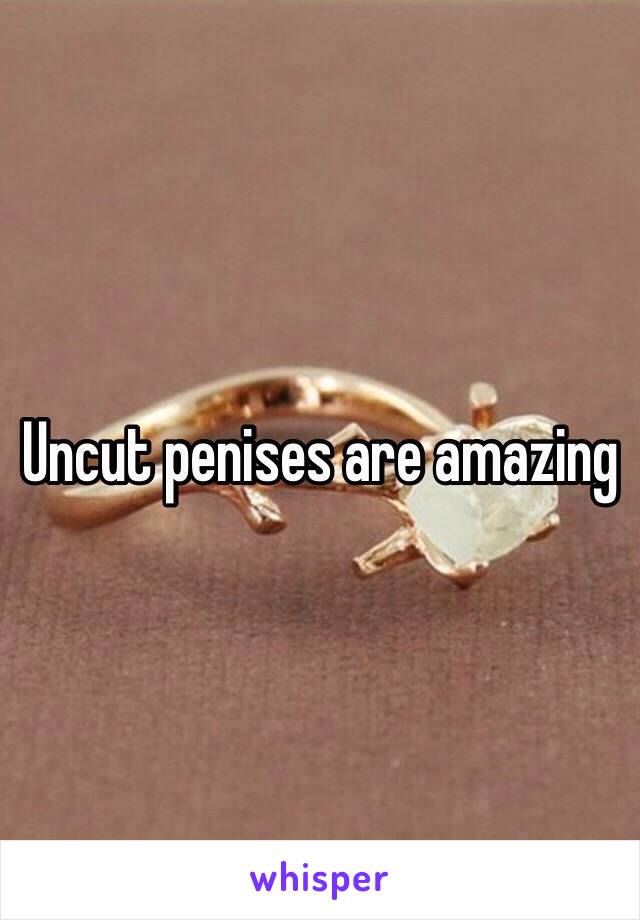 Uncut penises are amazing