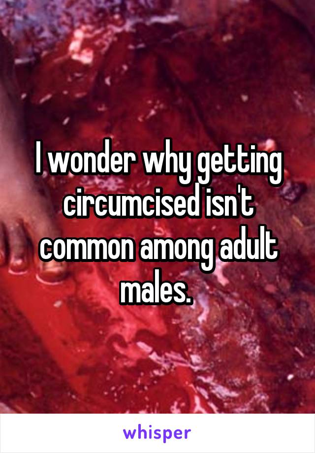 I wonder why getting circumcised isn't common among adult males. 