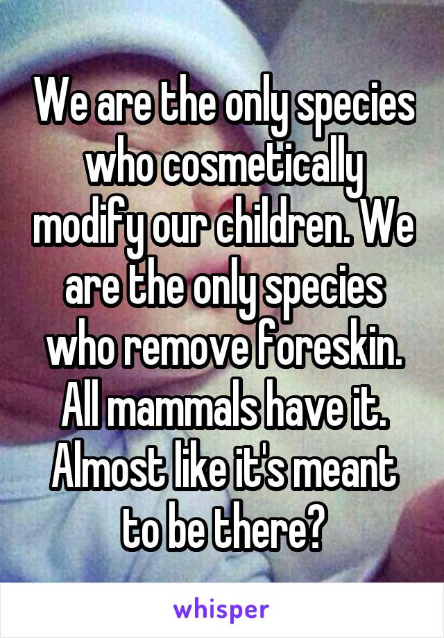 We are the only species who cosmetically modify our children. We are the only species who remove foreskin. All mammals have it. Almost like it's meant to be there?