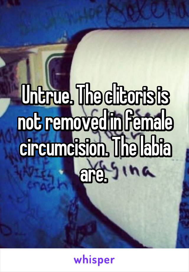 Untrue. The clitoris is not removed in female circumcision. The labia are. 