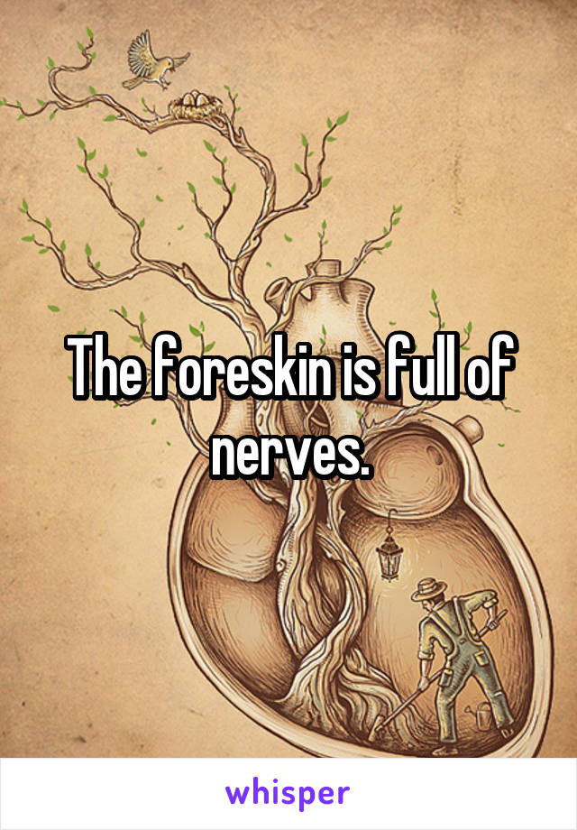 The foreskin is full of nerves.