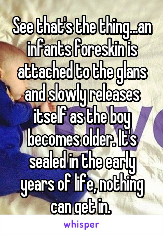 See that's the thing...an infants foreskin is attached to the glans and slowly releases itself as the boy becomes older. It's sealed in the early years of life, nothing can get in. 