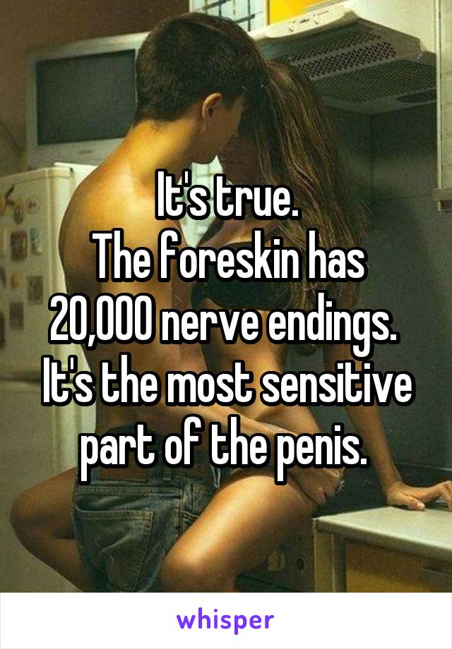 It's true.
The foreskin has 20,000 nerve endings. 
It's the most sensitive part of the penis. 