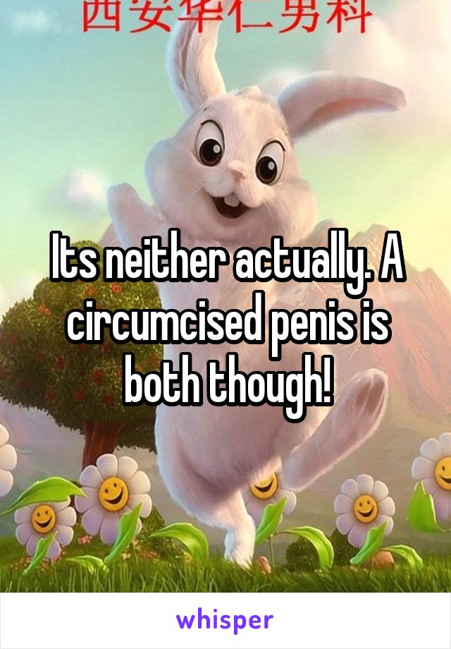 Its neither actually. A circumcised penis is both though!