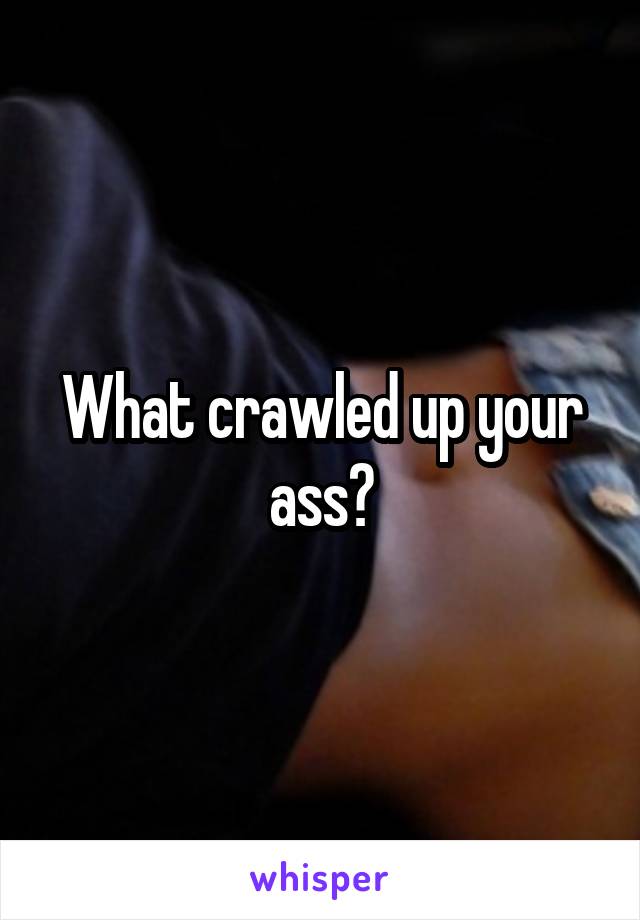 What crawled up your ass?