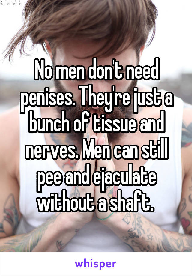 No men don't need penises. They're just a bunch of tissue and nerves. Men can still pee and ejaculate without a shaft. 