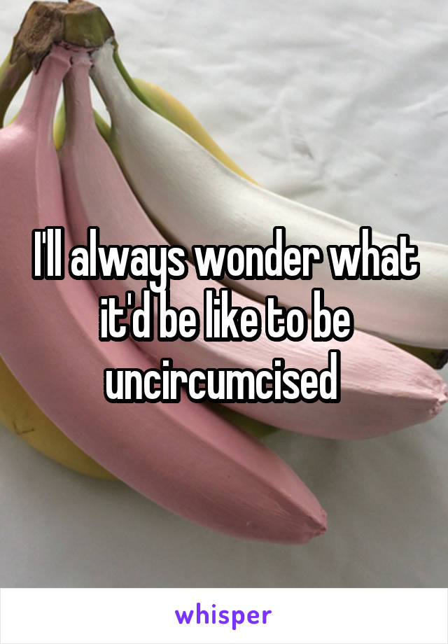 I'll always wonder what it'd be like to be uncircumcised 