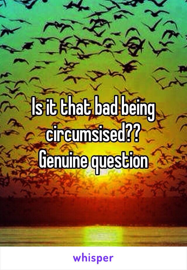 Is it that bad being circumsised??
Genuine question