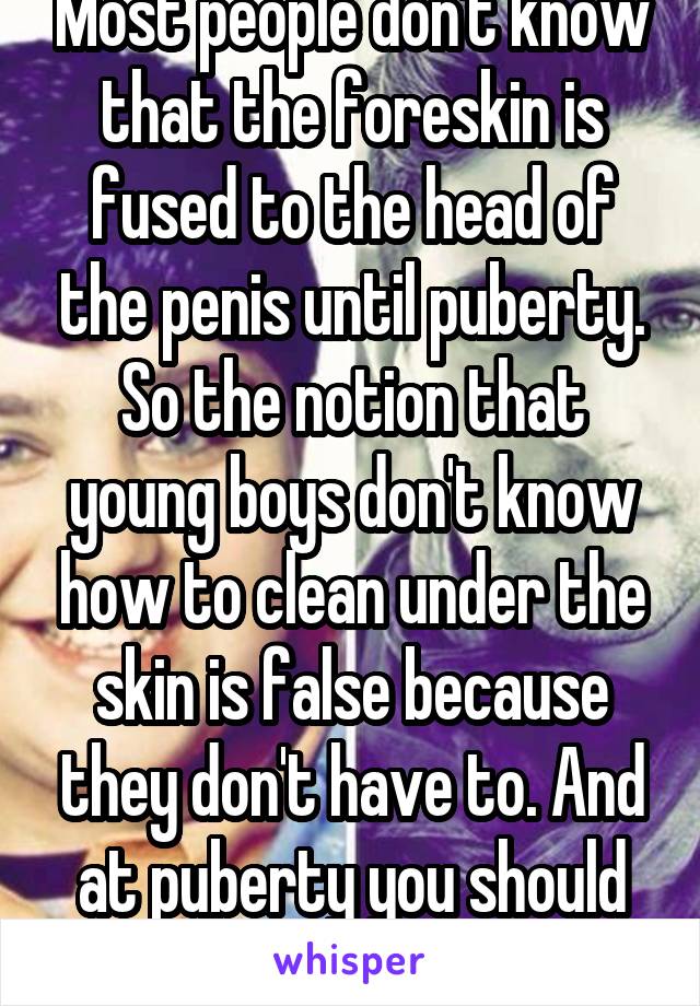 Most people don't know that the foreskin is fused to the head of the penis until puberty. So the notion that young boys don't know how to clean under the skin is false because they don't have to. And at puberty you should know how to bathe. 