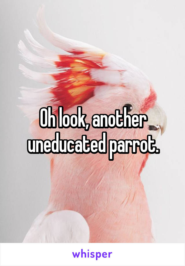 Oh look, another uneducated parrot.