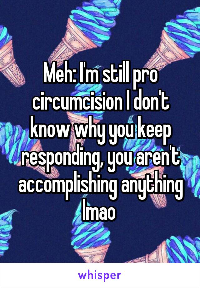 Meh: I'm still pro circumcision I don't know why you keep responding, you aren't accomplishing anything lmao 