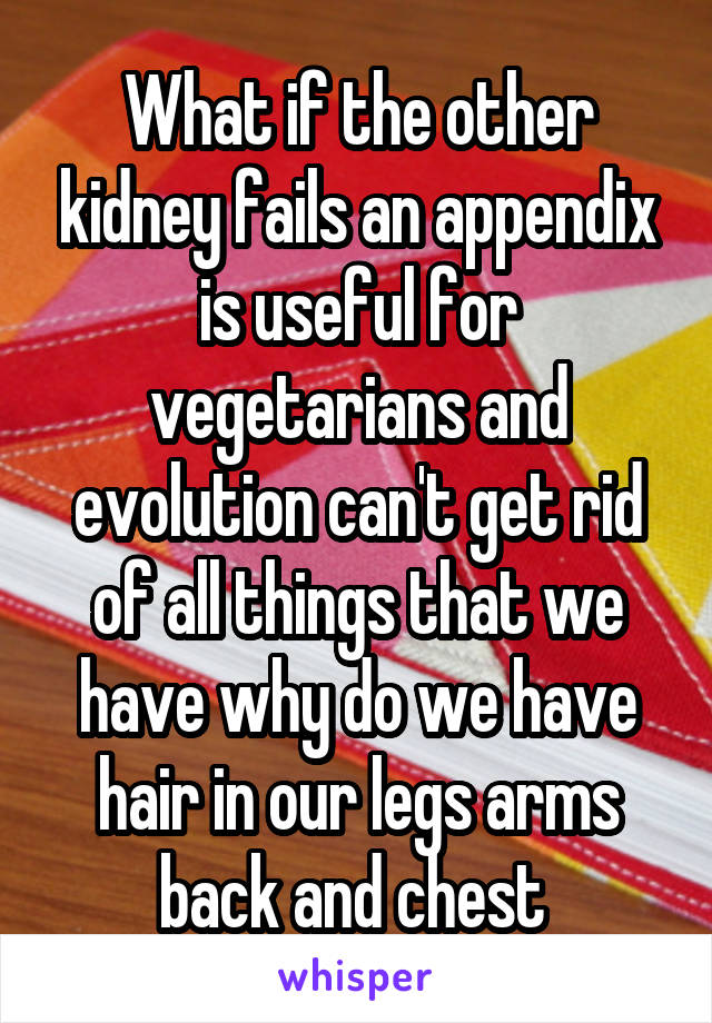 What if the other kidney fails an appendix is useful for vegetarians and evolution can't get rid of all things that we have why do we have hair in our legs arms back and chest 