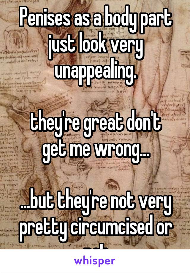 Penises as a body part just look very unappealing.

they're great don't get me wrong...

...but they're not very pretty circumcised or not