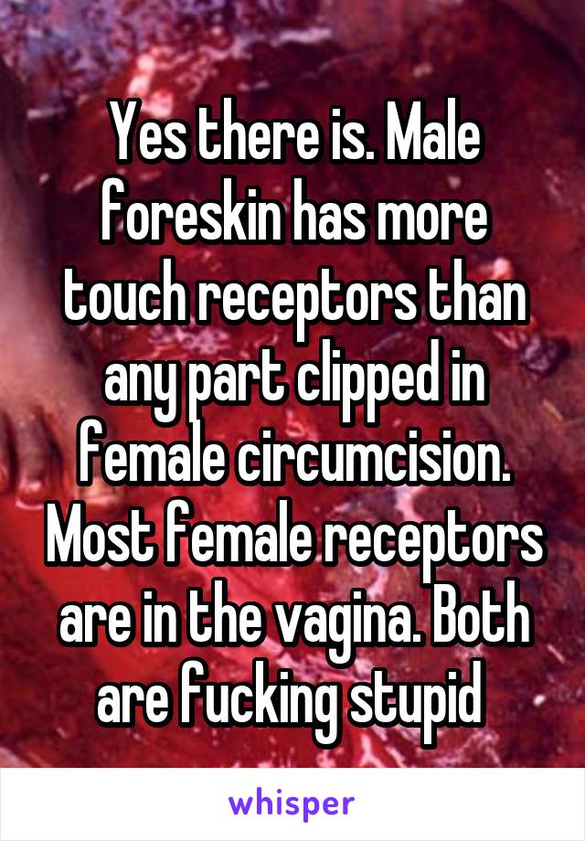 Yes there is. Male foreskin has more touch receptors than any part clipped in female circumcision. Most female receptors are in the vagina. Both are fucking stupid 