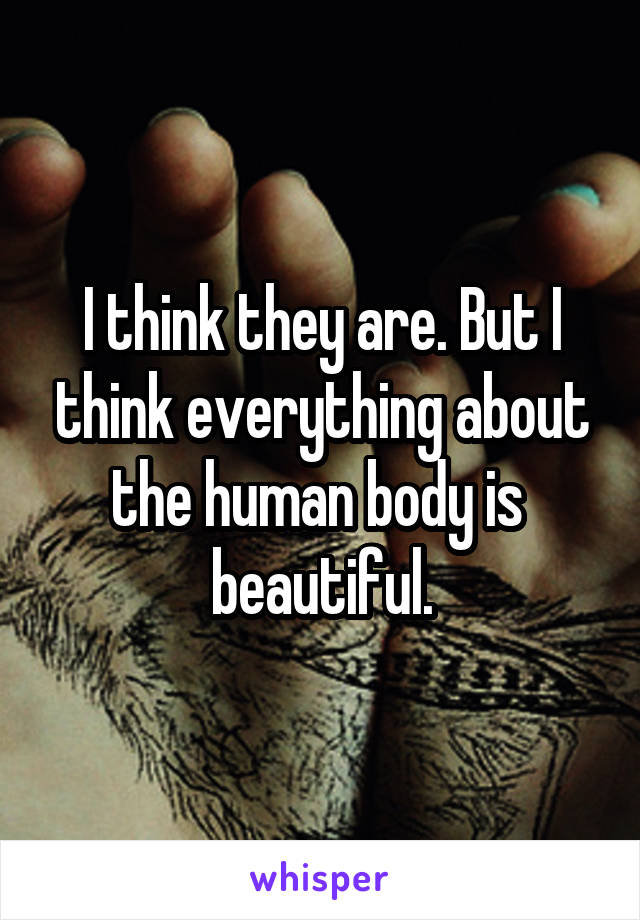 I think they are. But I think everything about the human body is  beautiful.