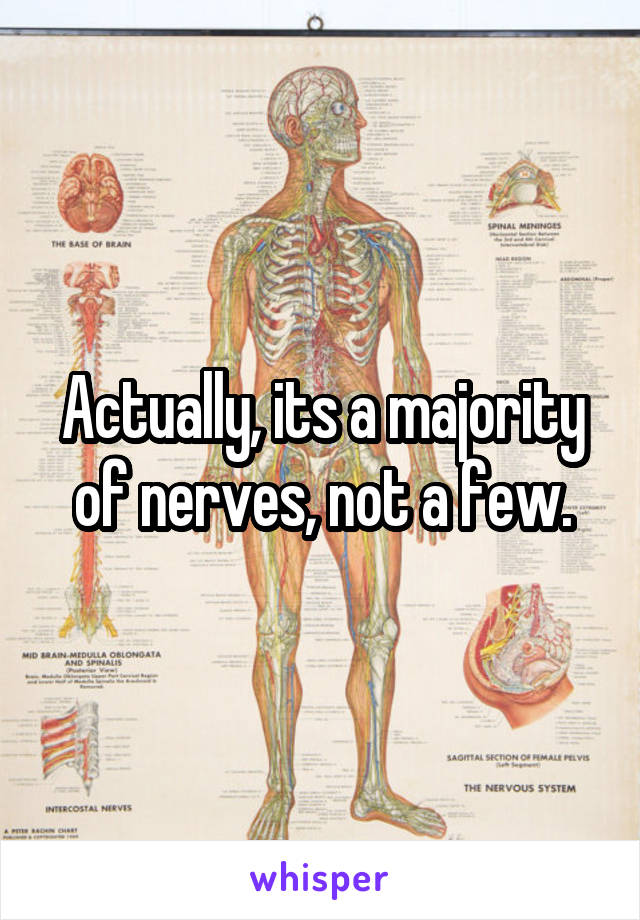 Actually, its a majority of nerves, not a few.