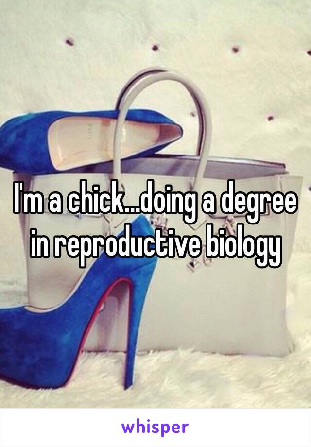 I'm a chick...doing a degree in reproductive biology